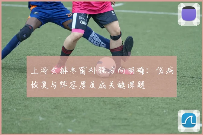 上海女排冬窗补强方向明确：伤病恢复与阵容厚度成关键课题