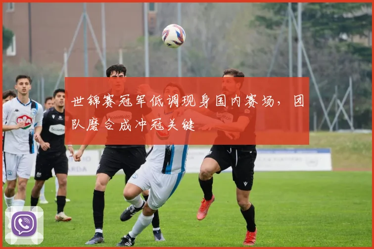世锦赛冠军低调现身国内赛场，团队磨合成冲冠关键